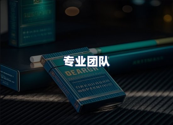 专业团队